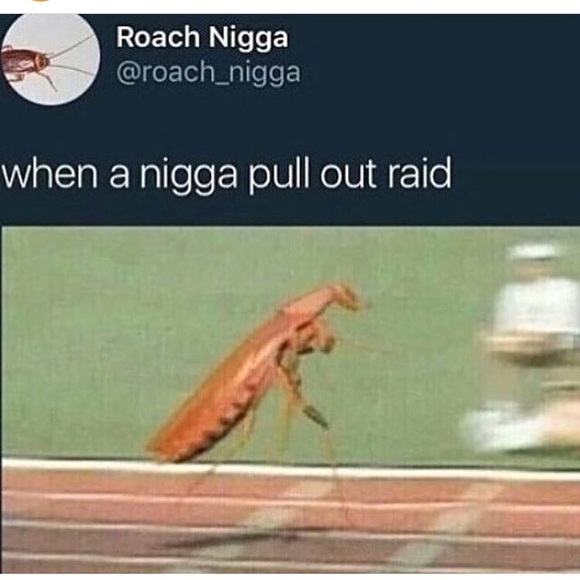 Meet your Posher, Alex - Picture 1 of 1